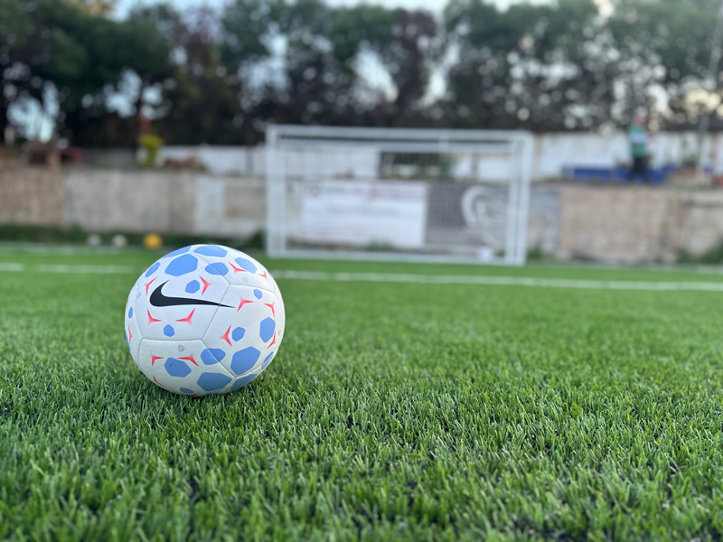 Grupo celebrando un gol